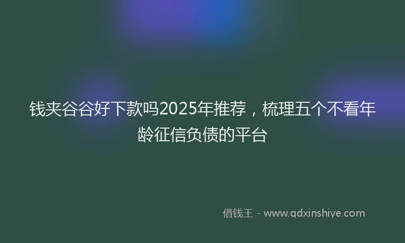 钱夹谷谷好下款吗2025年推荐，梳理五个不看年龄征信负债的平台