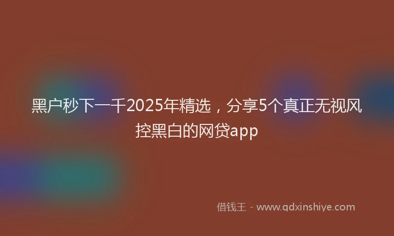 黑户秒下一千2025年精选，分享5个真正无视风控黑白的网贷app
