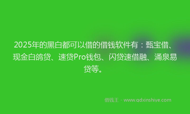 2025年的黑白都可以借的借钱软件有：甄宝借、现金白鸽贷、速贷Pro钱包、闪贷速借融、涌泉易贷等。