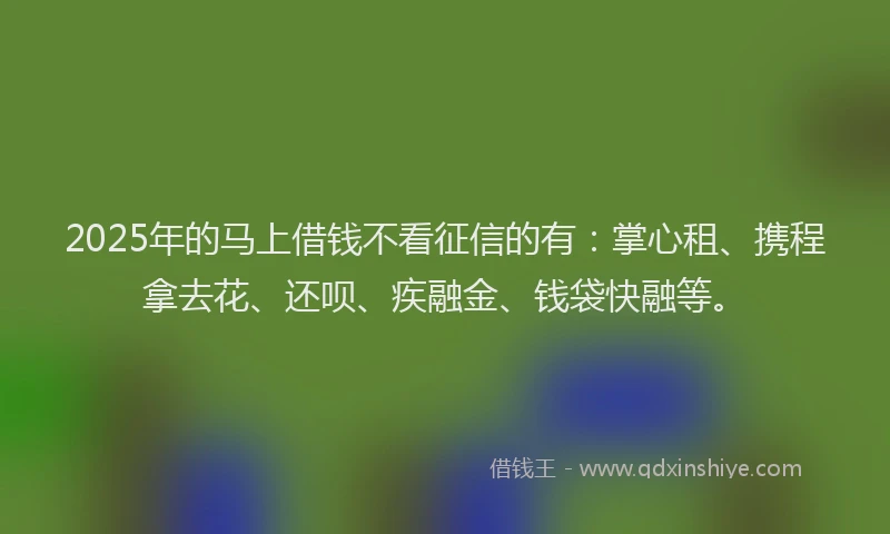 2025年的马上借钱不看征信的有：掌心租、携程拿去花、还呗、疾融金、钱袋快融等。