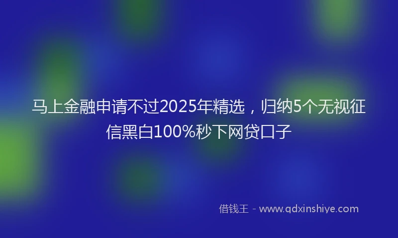 马上金融申请不过2025年精选，归纳5个无视征信黑白100%秒下网贷口子