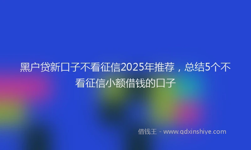 黑户贷新口子不看征信2025年推荐，总结5个不看征信小额借钱的口子