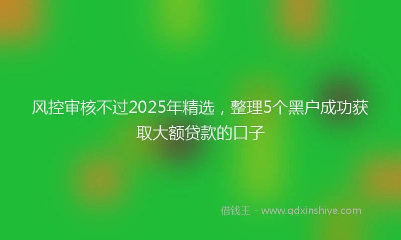 风控审核不过2025年精选，整理5个黑户成功获取大额贷款的口子