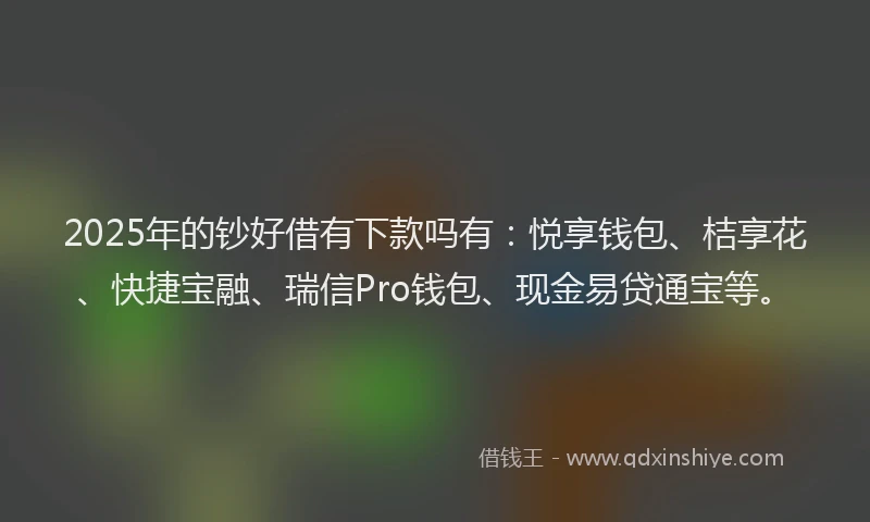 2025年的钞好借有下款吗有：悦享钱包、桔享花、快捷宝融、瑞信Pro钱包、现金易贷通宝等。