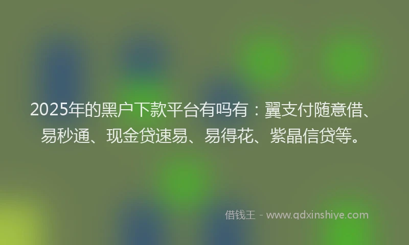 2025年的黑户下款平台有吗有：翼支付随意借、易秒通、现金贷速易、易得花、紫晶信贷等。