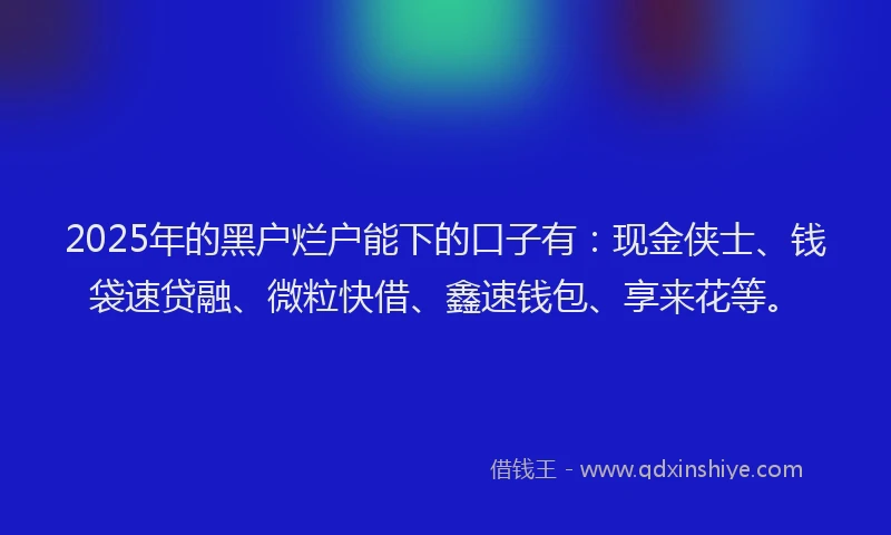 2025年的黑户烂户能下的口子有：现金侠士、钱袋速贷融、微粒快借、鑫速钱包、享来花等。