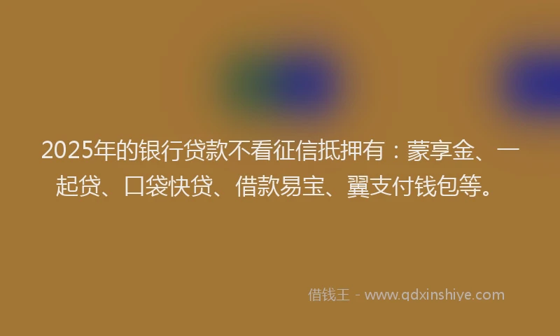 2025年的银行贷款不看征信抵押有：蒙享金、一起贷、口袋快贷、借款易宝、翼支付钱包等。