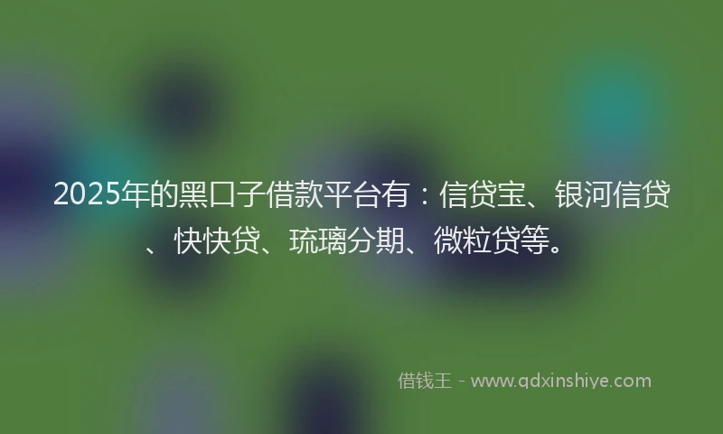 2025年的黑口子借款平台有：信贷宝、银河信贷、快快贷、琉璃分期、微粒贷等。