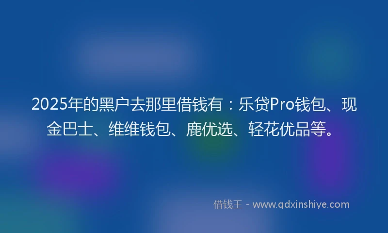 2025年的黑户去那里借钱有：乐贷Pro钱包、现金巴士、维维钱包、鹿优选、轻花优品等。