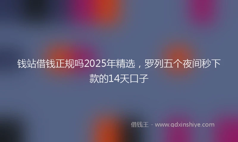 钱站借钱正规吗2025年精选，罗列五个夜间秒下款的14天口子