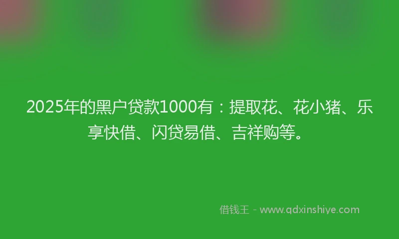 2025年的黑户贷款1000有：提取花、花小猪、乐享快借、闪贷易借、吉祥购等。