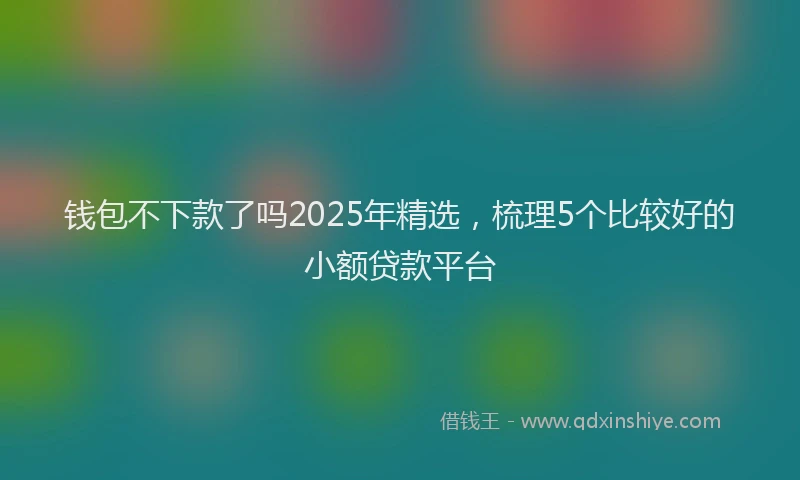 钱包不下款了吗2025年精选，梳理5个比较好的小额贷款平台
