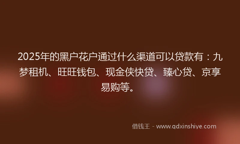 2025年的黑户花户通过什么渠道可以贷款有：九梦租机、旺旺钱包、现金侠快贷、臻心贷、京享易购等。