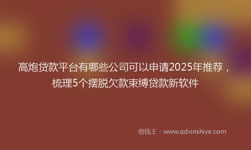 高炮贷款平台有哪些公司可以申请2025年推荐，梳理5个摆脱欠款束缚贷款新软件
