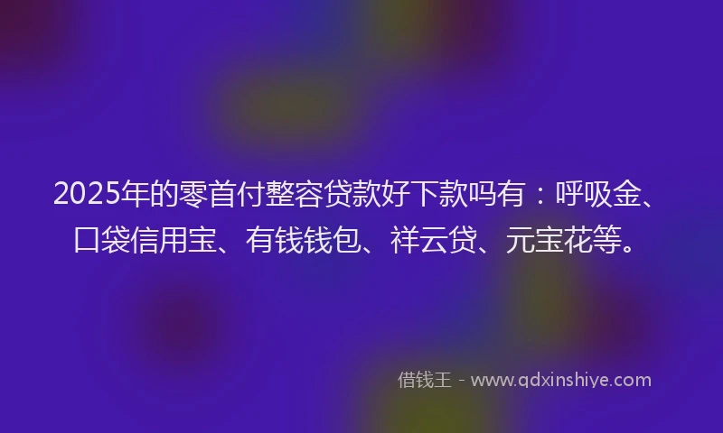 2025年的零首付整容贷款好下款吗有：呼吸金、口袋信用宝、有钱钱包、祥云贷、元宝花等。