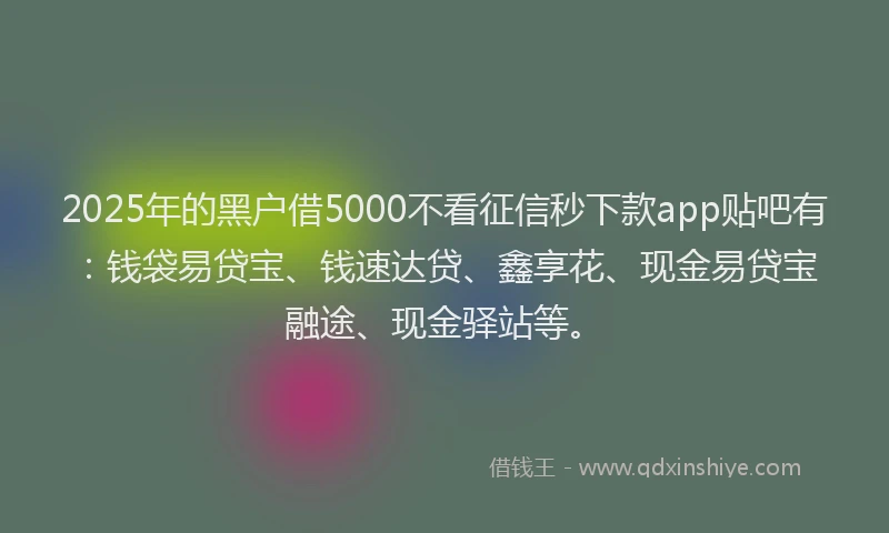 2025年的黑户借5000不看征信秒下款app贴吧有：钱袋易贷宝、钱速达贷、鑫享花、现金易贷宝融途、现金驿站等。