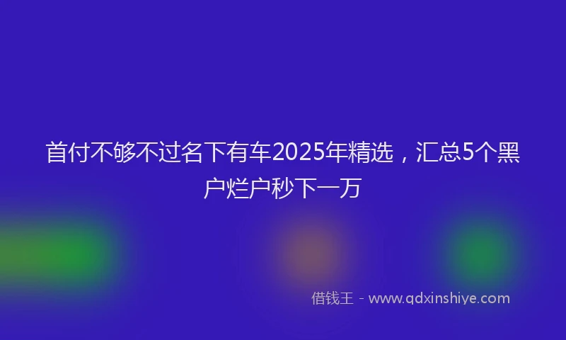 首付不够不过名下有车2025年精选，汇总5个黑户烂户秒下一万