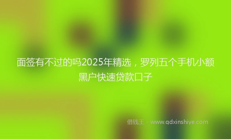 面签有不过的吗2025年精选，罗列五个手机小额黑户快速贷款口子