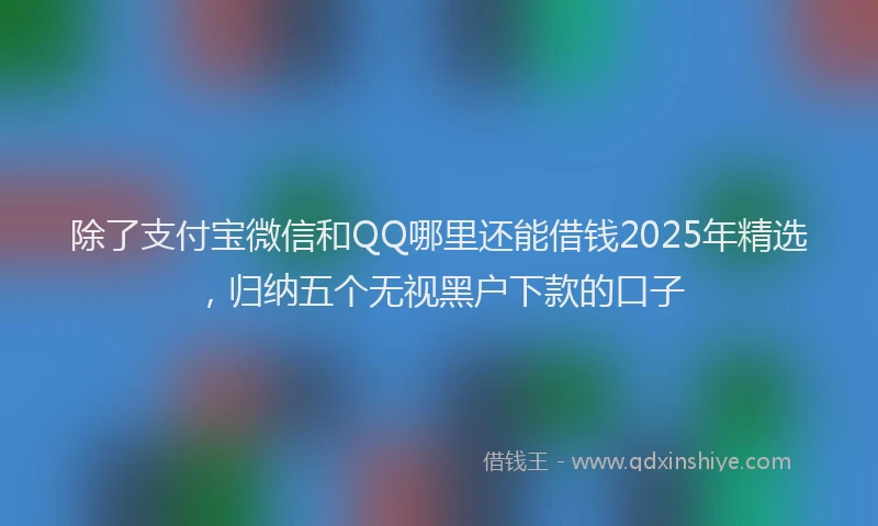 除了支付宝微信和QQ哪里还能借钱2025年精选，归纳五个无视黑户下款的口子