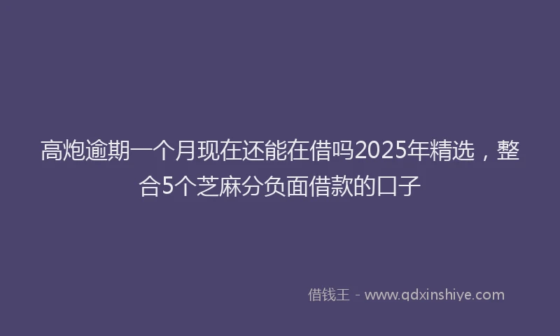 高炮逾期一个月现在还能在借吗2025年精选，整合5个芝麻分负面借款的口子