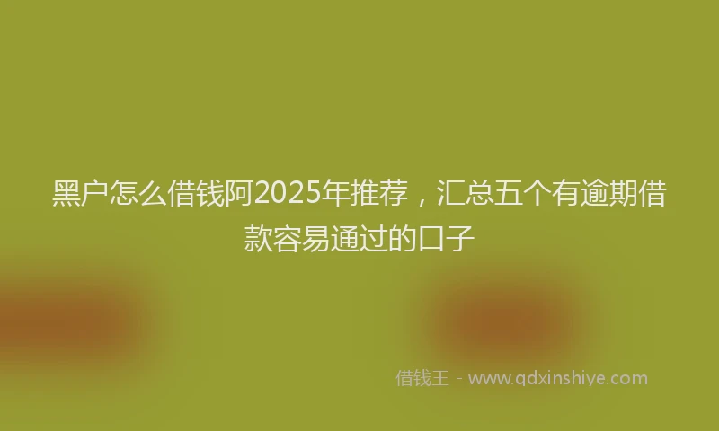 黑户怎么借钱阿2025年推荐，汇总五个有逾期借款容易通过的口子