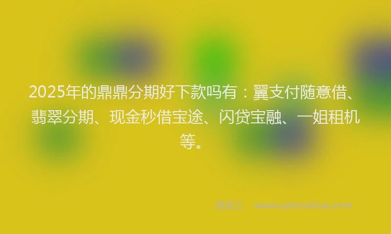 2025年的鼎鼎分期好下款吗有：翼支付随意借、翡翠分期、现金秒借宝途、闪贷宝融、一姐租机等。