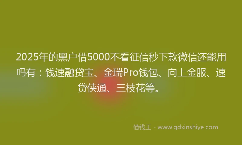 2025年的黑户借5000不看征信秒下款微信还能用吗有：钱速融贷宝、金瑞Pro钱包、向上金服、速贷侠通、三枝花等。