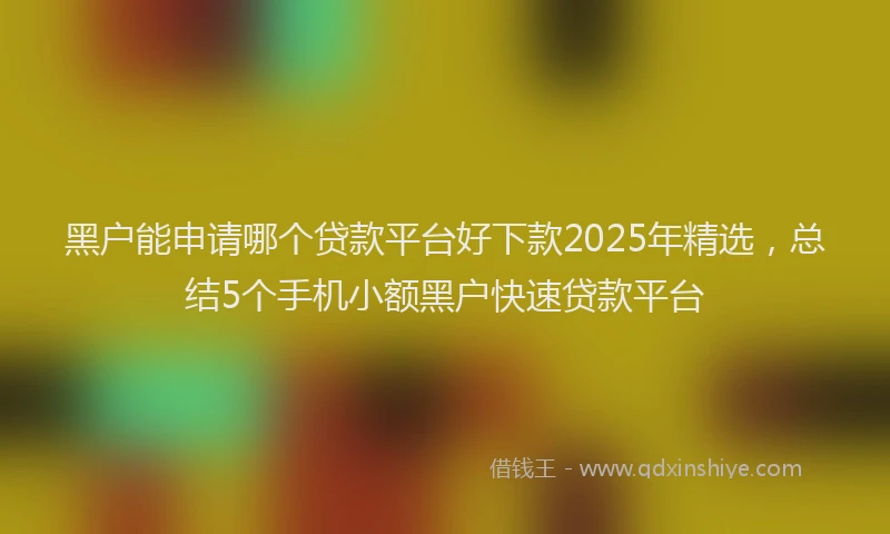 黑户能申请哪个贷款平台好下款2025年精选，总结5个手机小额黑户快速贷款平台