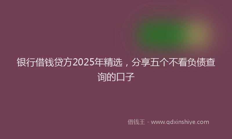 银行借钱贷方2025年精选，分享五个不看负债查询的口子