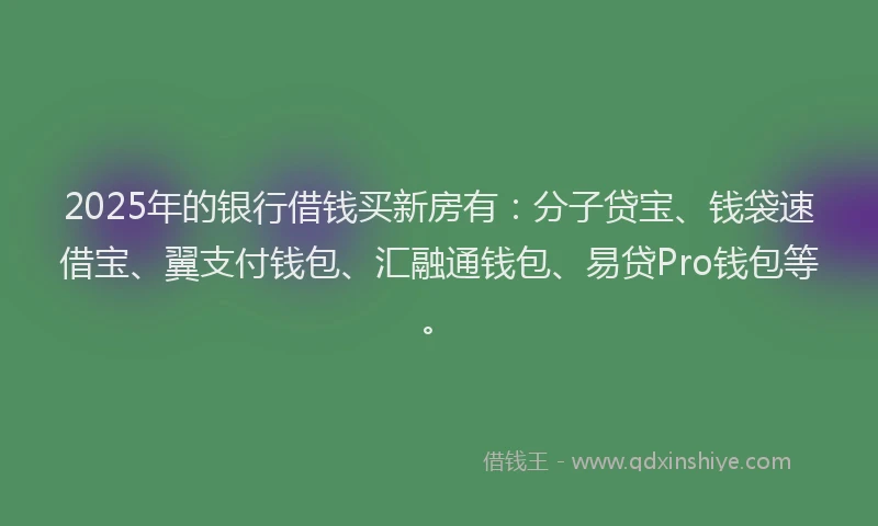 2025年的银行借钱买新房有：分子贷宝、钱袋速借宝、翼支付钱包、汇融通钱包、易贷Pro钱包等。