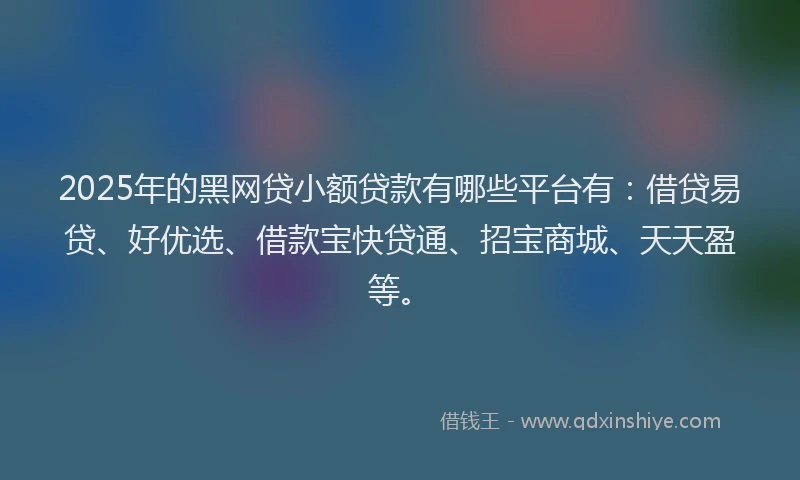 2025年的黑网贷小额贷款有哪些平台有：借贷易贷、好优选、借款宝快贷通、招宝商城、天天盈等。