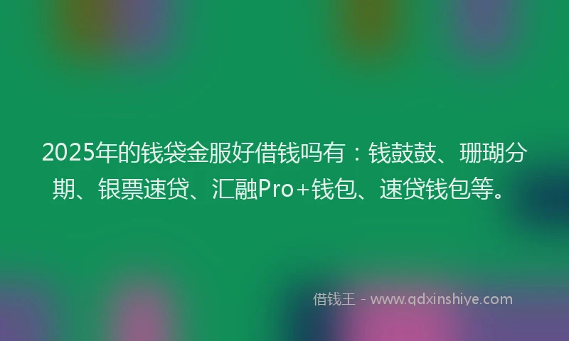 2025年的钱袋金服好借钱吗有：钱鼓鼓、珊瑚分期、银票速贷、汇融Pro+钱包、速贷钱包等。