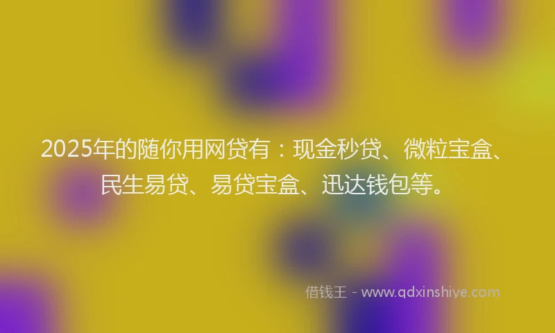2025年的随你用网贷有：现金秒贷、微粒宝盒、民生易贷、易贷宝盒、迅达钱包等。