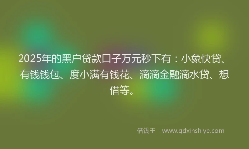 2025年的黑户贷款口子万元秒下有：小象快贷、有钱钱包、度小满有钱花、滴滴金融滴水贷、想借等。