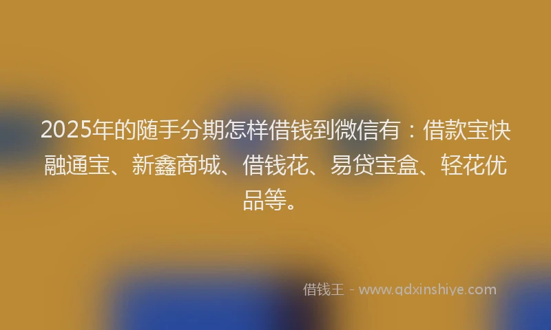 2025年的随手分期怎样借钱到微信有：借款宝快融通宝、新鑫商城、借钱花、易贷宝盒、轻花优品等。