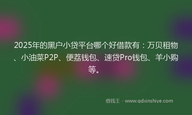 2025年的黑户小贷平台哪个好借款有：万贝租物、小油菜P2P、便荔钱包、速贷Pro钱包、羊小购等。