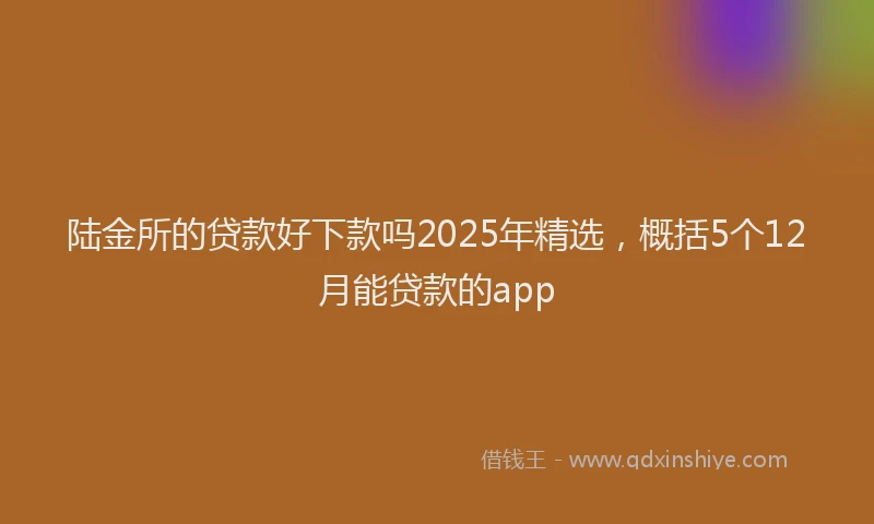 陆金所的贷款好下款吗2025年精选，概括5个12月能贷款的app