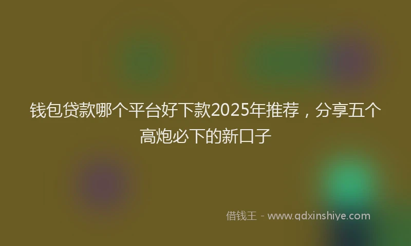 钱包贷款哪个平台好下款2025年推荐，分享五个高炮必下的新口子