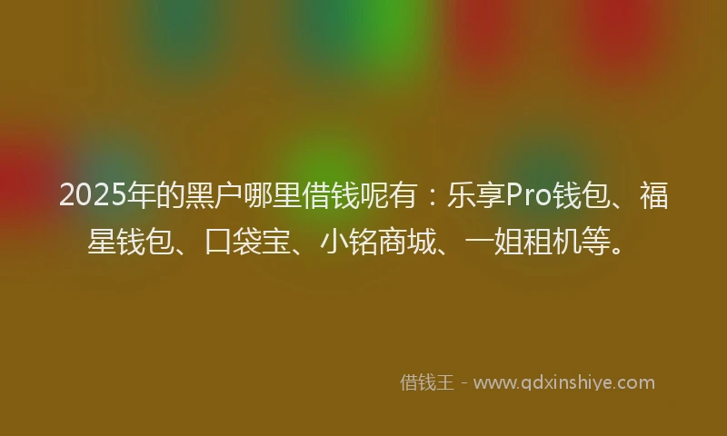 2025年的黑户哪里借钱呢有：乐享Pro钱包、福星钱包、口袋宝、小铭商城、一姐租机等。