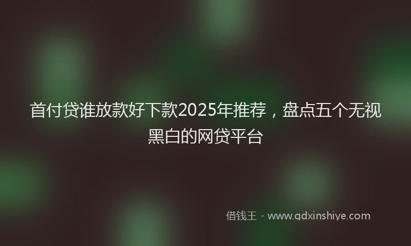 首付贷谁放款好下款2025年推荐，盘点五个无视黑白的网贷平台