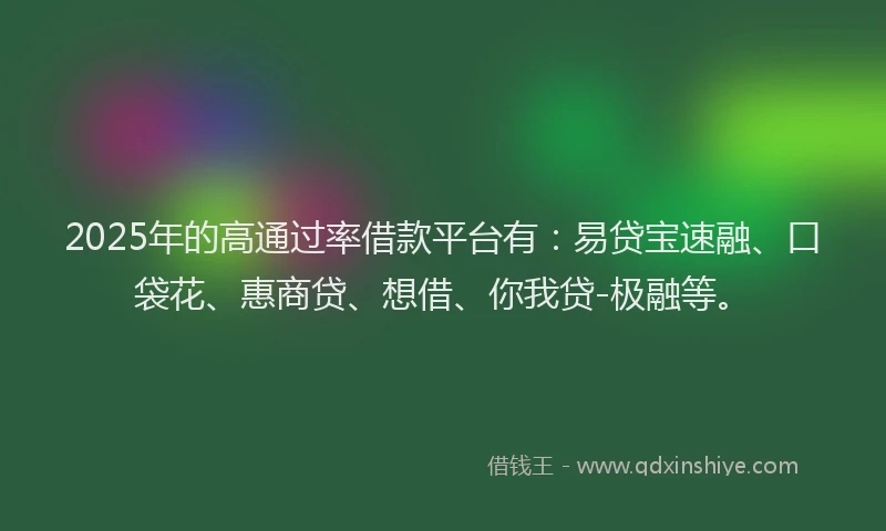 2025年的高通过率借款平台有：易贷宝速融、口袋花、惠商贷、想借、你我贷-极融等。