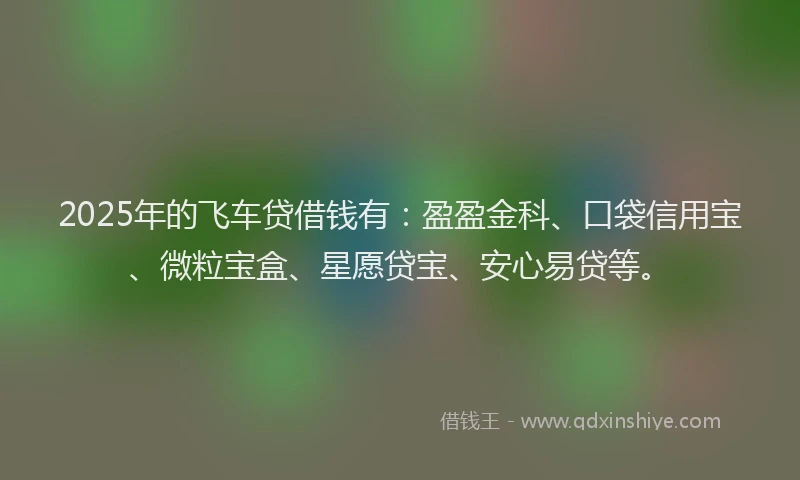 2025年的飞车贷借钱有：盈盈金科、口袋信用宝、微粒宝盒、星愿贷宝、安心易贷等。