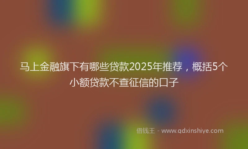 马上金融旗下有哪些贷款2025年推荐，概括5个小额贷款不查征信的口子