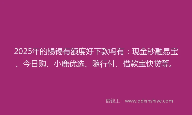 2025年的锡锡有额度好下款吗有：现金秒融易宝、今日购、小鹿优选、随行付、借款宝快贷等。