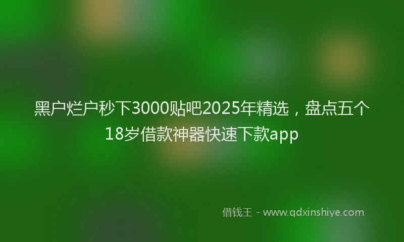 黑户烂户秒下3000贴吧2025年精选，盘点五个18岁借款神器快速下款app