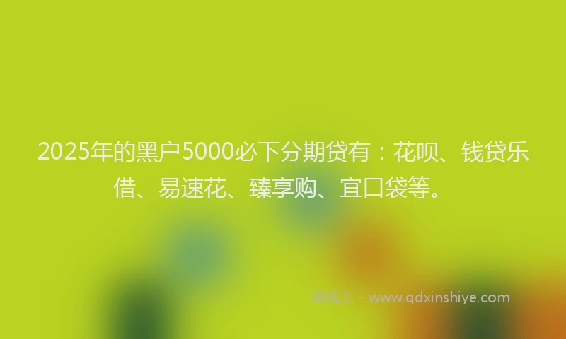 2025年的黑户5000必下分期贷有：花呗、钱贷乐借、易速花、臻享购、宜口袋等。