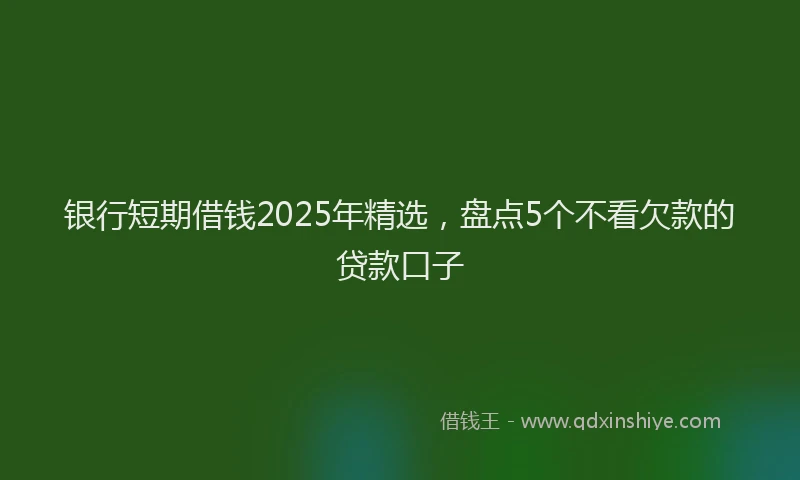 银行短期借钱2025年精选，盘点5个不看欠款的贷款口子