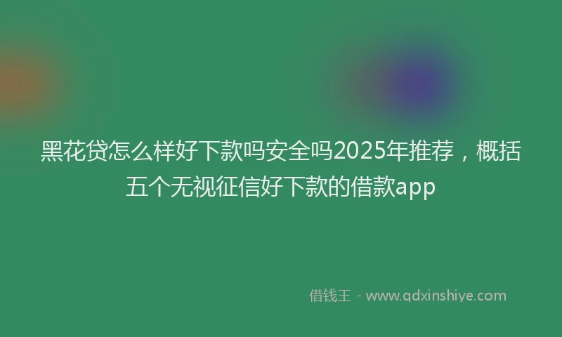 黑花贷怎么样好下款吗安全吗2025年推荐，概括五个无视征信好下款的借款app