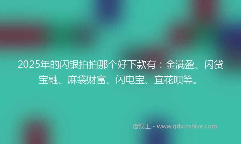 2025年的闪银拍拍那个好下款有：金满盈、闪贷宝融、麻袋财富、闪电宝、宜花呗等。