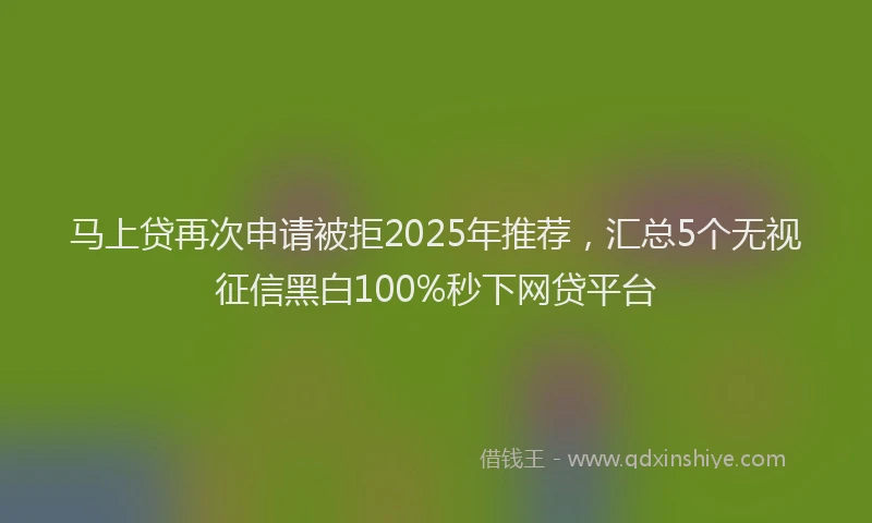 马上贷再次申请被拒2025年推荐，汇总5个无视征信黑白100%秒下网贷平台